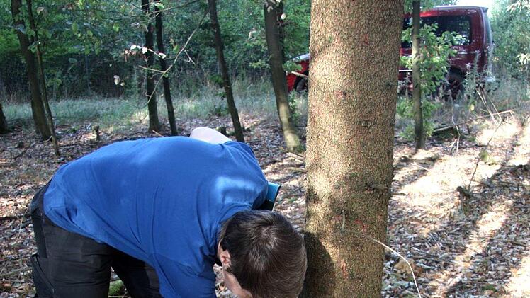 Heike Grumann zeigt das feine Bohrmehl, das zu Boden rieselte.Richard Sänger