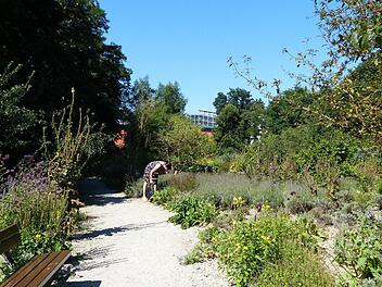 Für die Verschnaufpausen während des Spaziergangs durch den Aromagarten stehen Sitzbänke bereit. Gertraud Bäuml kümmert sich darum, dass die Pflanzen nicht wuchern, sondern gepflegt wachsen können.  Fotos: Pauline Lindner