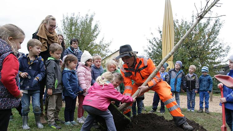 Mit Hilfe von Siegfried Großkopf vom Bauhof Hemhofen pflanzten die Kindergartenkinder den Baum für die 2016 in Hemhofen geborenen Kinder. Sylvia Hubele