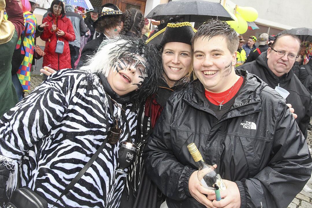Narrentreiben in Stadtsteinach 2024