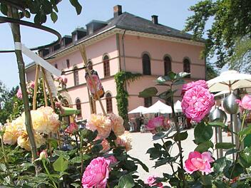 Zum "Heinersreuther Sommer" war am Wochenende auf Schloss Heinersreuth bei Presseck eingeladen. Foto: Sonja Adam