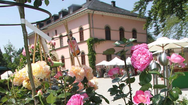 Zum "Heinersreuther Sommer" war am Wochenende auf Schloss Heinersreuth bei Presseck eingeladen. Foto: Sonja Adam