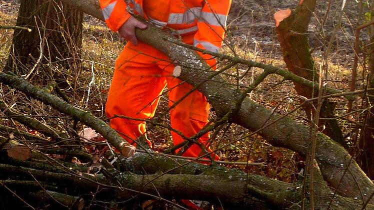 An seinem letzten Arbeitstag am 19. Januar auf dem Weg von Neuhaus nach Heppstädt gemacht, wo er bei Baumfällarbeiten, Heckenschnitt und Grabenreinigung unterwegs war.