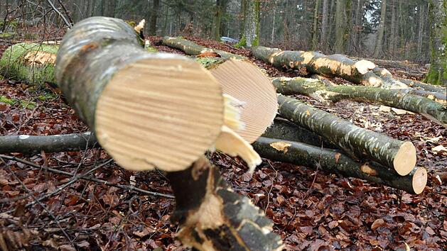 Foto: Stefan Puchner/dpa