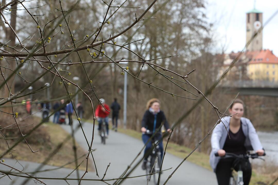 Frühling in Franken: Das Leben erwacht