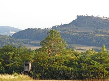Herrliche Motive vermitteln sich dem aufmerksamen Wanderer unterwegs. Foto: G&uuml;nther Reinlein