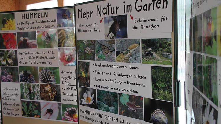 Der Kreisverband für Gartenbau und Landespflege Kulmbach setzt auf "Mehr Natur im Garten" - vor allem für Hummeln und Wildbienen.  Foto: Jürgen Gärtner