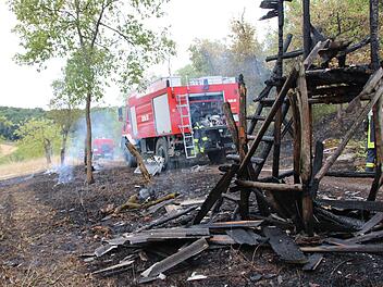 Auf den Weg den Hang des Kohlenbergs hinauf hat das Feuer zahlreiche Grundstücke verwüstet.