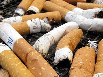 Symbolfoto: Stephan Jansen/dpa