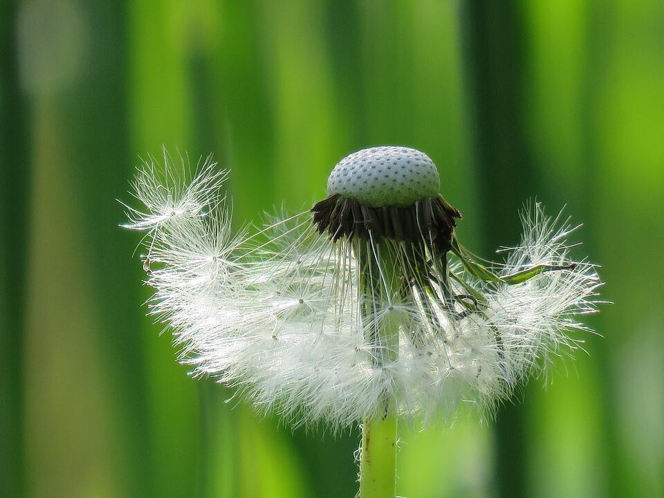 Die schönsten Frühlingsfotos aus den Haßbergen