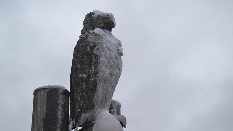 Im eisigen Gewand. Foto: Johannes Schlereth