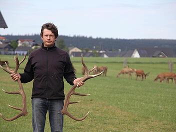 Matthias Baumgärtner mit den fünf Kilo schweren Geweihstangen des Platzhirsches, die dieser im Februar abgeworfen hat. Inzwischen ist das Geweih schon stattlich nachgewachsen, aber noch mit Bast überzogen.   Fotos: Friedwald Schedel