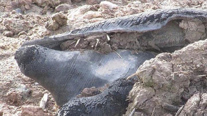 Diese Teile, vermutlich Reifenreste, befanden sich dieser Tage im Verfüllmaterial am Ufer.  Foto: Gemeinde Sand