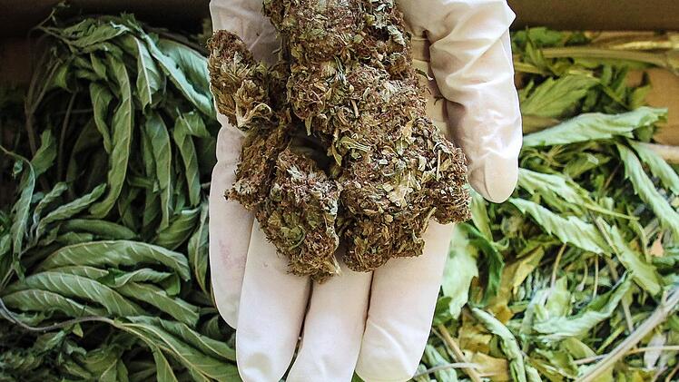 Mit 5,5 Kilogramm Marihuana handelte der jetzt verurteilte Drogendealer. Symbolfoto: Christopher Schulz