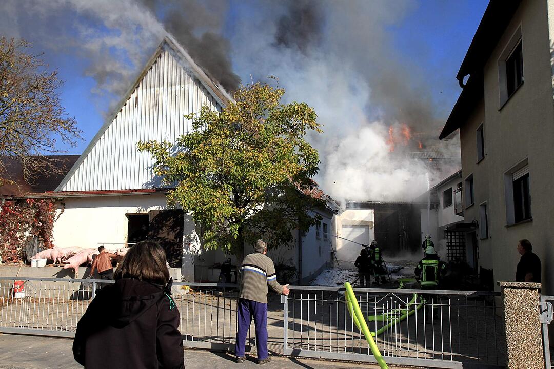 Brand in Schweinestall in Herzogenaurach