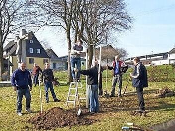 Fleißige Hände pflanzten die neue Sängerlinde in der Nähe des Friedhofs ein.  Foto: Karl-Heinz Hofmann