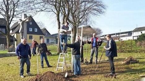 Fleißige Hände pflanzten die neue Sängerlinde in der Nähe des Friedhofs ein.  Foto: Karl-Heinz Hofmann