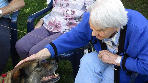 Die Herzen der Senioren fliegen Ben nur so zu - Schmerzen und andere Einschr&auml;nkungen der Hochbetagten r&uuml;cken in den Hintergrund. Die Vitalfunktionen steigen, Schmerzmittel k&ouml;nnen sogar reduziert werden.