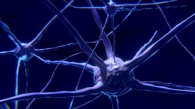 Einer neuen deutschen Studie zufolge löscht eine Maserninfektion das Immungedächtnis des Erkrankten. Symbolbild: pixabay.com/ColiN00B