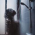 "Öko-Test" hat zahlreiche Haarspülungen untersucht. Symbolfoto: Tim Mossholder/unsplash.com