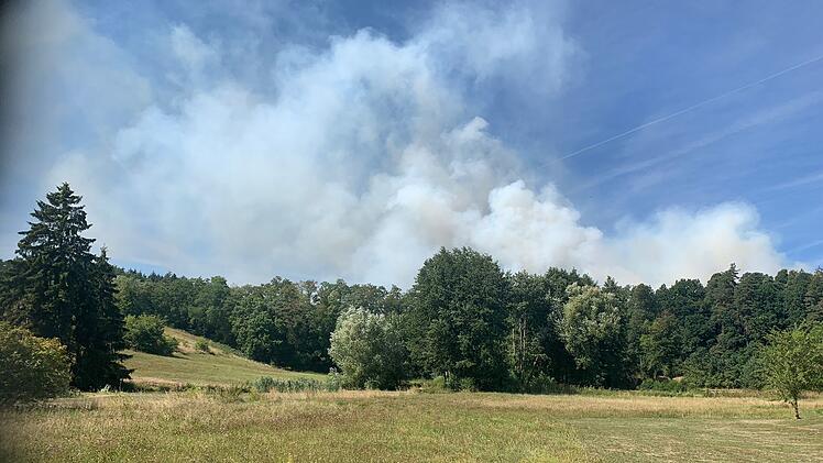 Waldbrand ruft Feuerwehr auf den Plan