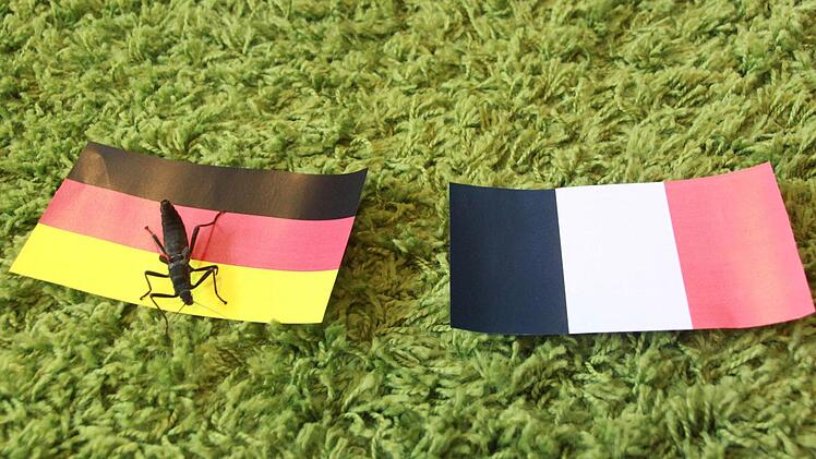 Emma wusste gleich wohin sie will: zur Deutschland-Fahne. Fotos: Sabine Herteux