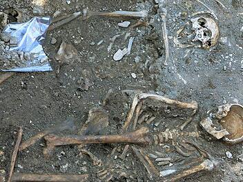 Die Skelett-Funde am Katharinenspital ermöglichen einen neuen Blick auf das Leben im spätmittelalterlichen Forchheim. Foto: Barbara Herbst