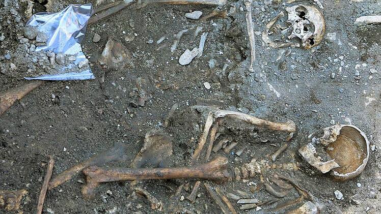 Die Skelett-Funde am Katharinenspital ermöglichen einen neuen Blick auf das Leben im spätmittelalterlichen Forchheim. Foto: Barbara Herbst