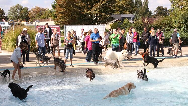 Hundebadetage in CoburgWolfgang Desombre
