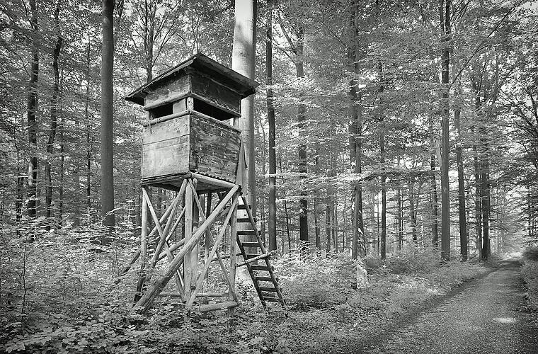 Volkach: Mann bei Jagdunfall erschossen - Anwalt legt Einspruch gegen Strafbefehl ein