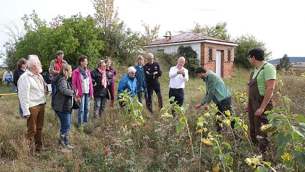 Landwirt Daniel Paschold, Wildlebensraumberater Karl Gommel und Pfarrer Heinrich Arnold (von rechts) gingen mit einigen Interessierten ins Feld und erklärte die Pflanzen der Blühmischung.  Foto: Michael Stelzner