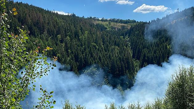 Waldbrand bei Ludwigsstadt im Kreis Kronach am 12. Juli 2022
