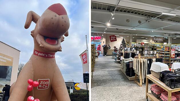 SplitImage 1764343567