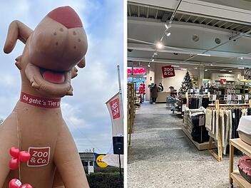 SplitImage 1764343567