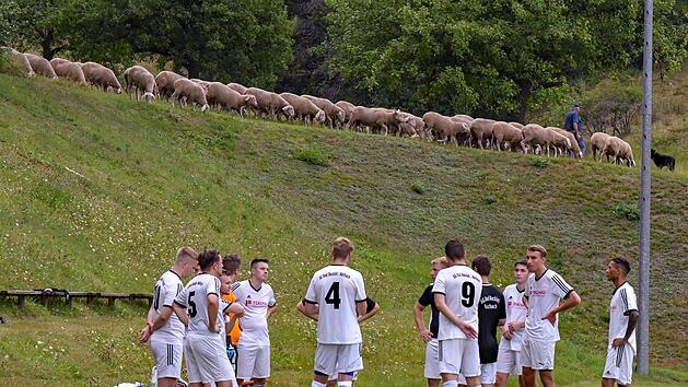 Ab dem 19. September sind auf den Trib&uuml;nen der Region wieder mit Zuschauern gef&uuml;llt. Die Idylle r&uuml;ckt damit ins zweite Glied. Foto: Hopf
