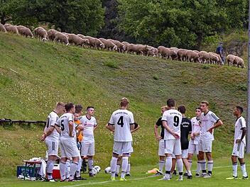 Ab dem 19. September sind auf den Tribünen der Region wieder mit Zuschauern gefüllt. Die Idylle rückt damit ins zweite Glied. Foto: Hopf