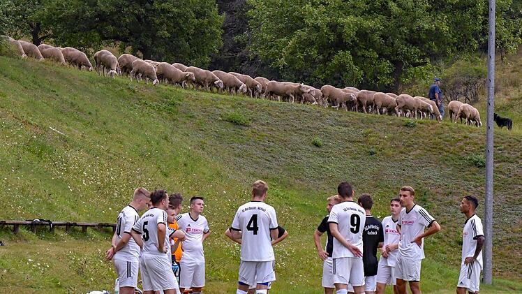 Ab dem 19. September sind auf den Tribünen der Region wieder mit Zuschauern gefüllt. Die Idylle rückt damit ins zweite Glied. Foto: Hopf