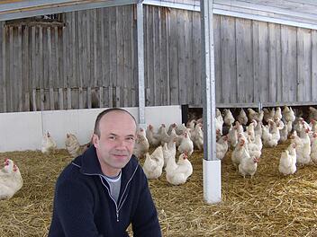 Peter Schubert lässt seine Gockel länger leben als es meist üblich ist, Fotos: Malbrich