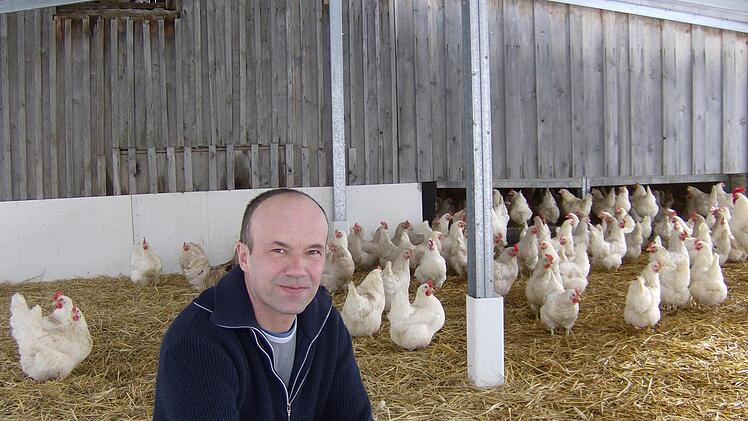 Peter Schubert lässt seine Gockel länger leben als es meist üblich ist, Fotos: Malbrich