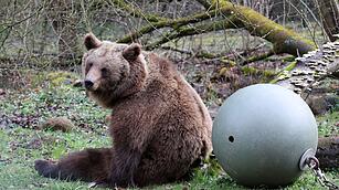 B&auml;renwald M&uuml;ritz startet in die neue Saison