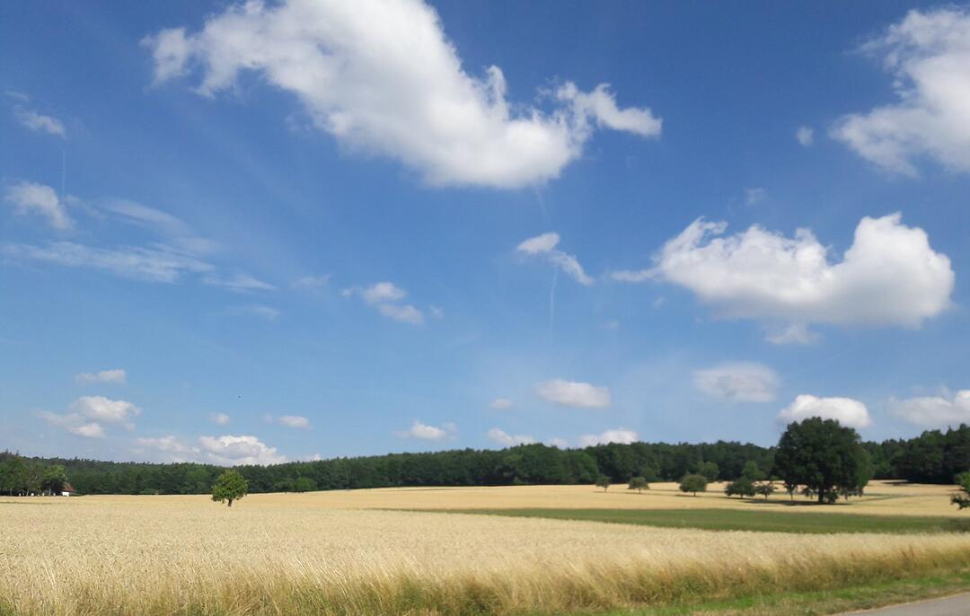 Die schönsten Fotos im Juni aus Bad Kissingen und Umgebung