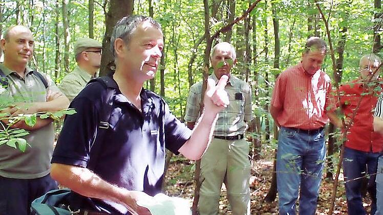 Wolfgang Gnannt (mit erhobenem Zeigefinger) und Bernhard Schmitt (links) erklärten im Sommer den Rechtlern an verschiedenen Stellen das forstliche Gefüge in "ihrem" Wald. Archivfoto: Katharina Gerstenkorn