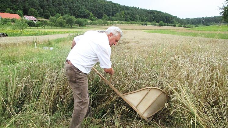 Obwohl "zig Jahre" nicht mehr praktiziert kann Fuchsstadts Bürgermeister Peter Hart das Mähen von Hand noch. Beim Heimatfest, das von 25. bis 27. August stattfindet, gibt es ebenfalls Vorführungen zum Thema "Landwirtschaft anno dazumal". Foto: Winfried Ehling