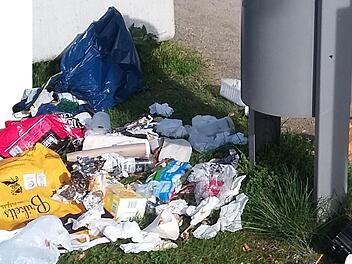 Abfalleimer mit Müllcollage - leider kein seltenes Bild nach lauen SommernächtenFoto: Stephanie Feuerpfeil/Archiv