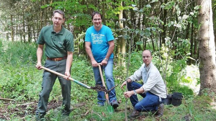 Als Dankeschön für die vorbildliche Zusammenarbeit in Sachen Klimaschutz und als regionaler Partner wurden im Bereich der Länzinger Körperschaft junge klimatolerante Bäume durch das Amt für Ernährung, Landwirtschaft und Forsten zur Verfügung gestellt und publikumswirksam gepflanzt. Das Bild zeigt von link: Forstoberrat Huber Türich, den Vorsitzenden der Länzinger Körperschaft Günter Fellenstein und Klimafachmann Peter Bittermann.  Foto: Marion Eckert