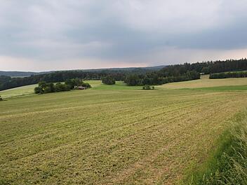 Um diese Senke (Wiese im Vordergrund) zwischen Bernbrunner Straße und Wiesenstraße ging es. Foto: Ulrike Müller