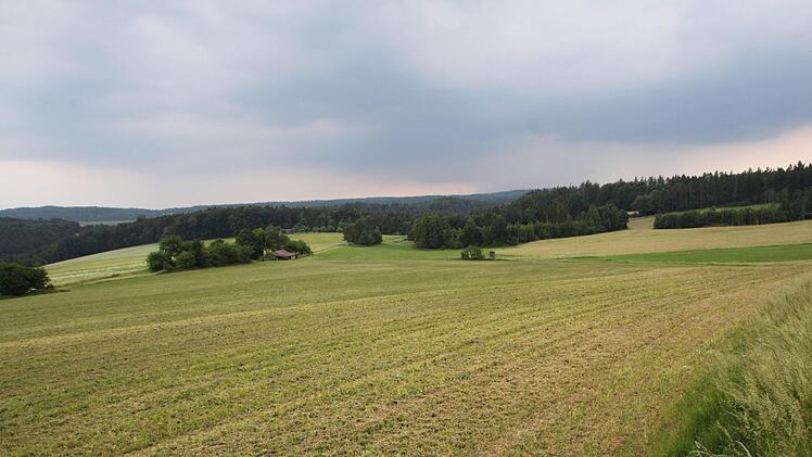 Um diese Senke (Wiese im Vordergrund) zwischen Bernbrunner Straße und Wiesenstraße ging es. Foto: Ulrike Müller