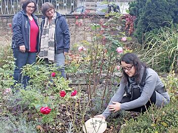 Tierbestatterin Stefanie Trum (rechts) platziert im Garten einen Gedenkstein für ein verstorbenes Tier. Ihre Mitarbeiterinnen Lendita Krasniqi (links) und Simone Schenk (mitte) waren ursprünglich selbst Kundinnen und unterstützen Stefanie Trum gerne.  Foto: Jutta Rudel