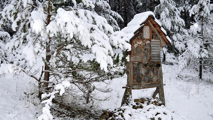 Ein Insektenhotel im Schnee Foto: Arthur Stollberger
