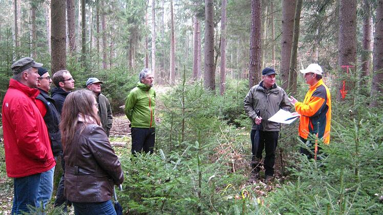 Revierförster Berthold Schultheiß (r.) hatte bei seinen Erläuterungen im Wald aufmerksame Zuhörer. Foto: Dieter Grams
